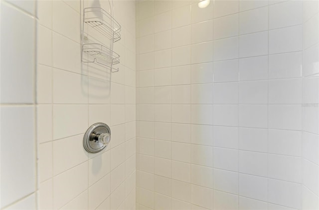 room details with a tile shower