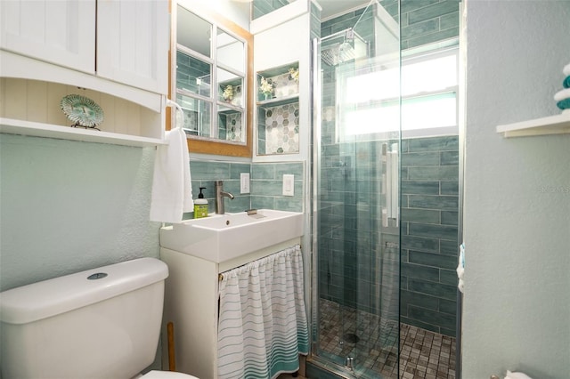 full bath featuring a shower stall, toilet, and vanity