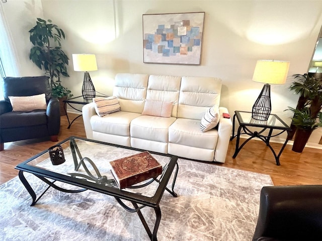 living area featuring wood finished floors and baseboards