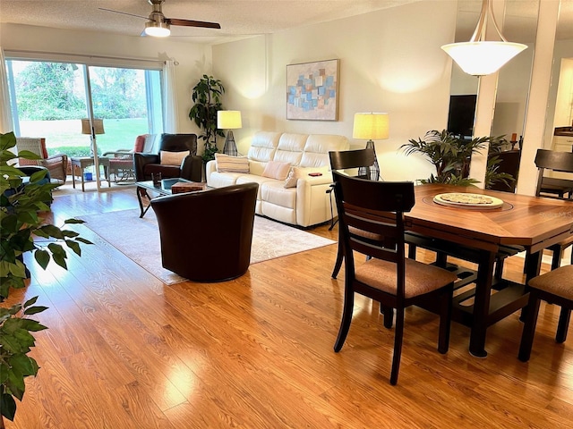 living area featuring a ceiling fan, light wood finished floors, and a textured ceiling