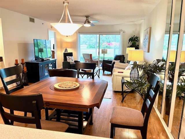 dining room with ceiling fan, wood finished floors, visible vents, and a textured ceiling