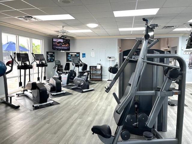 gym with visible vents, a drop ceiling, and wood finished floors