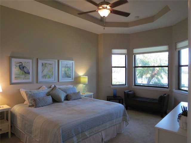 bedroom featuring a raised ceiling and light colored carpet