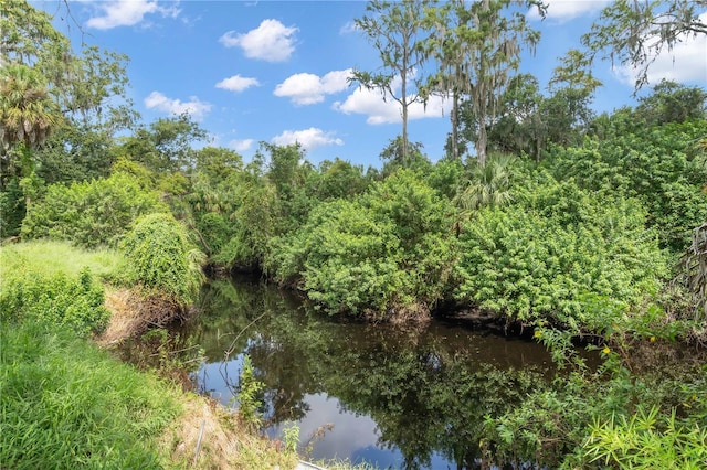 view of water feature with a forest view