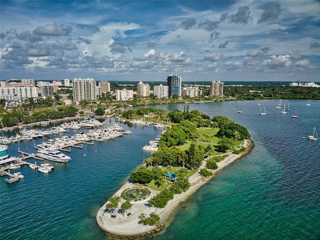 birds eye view of property featuring a view of city and a water view