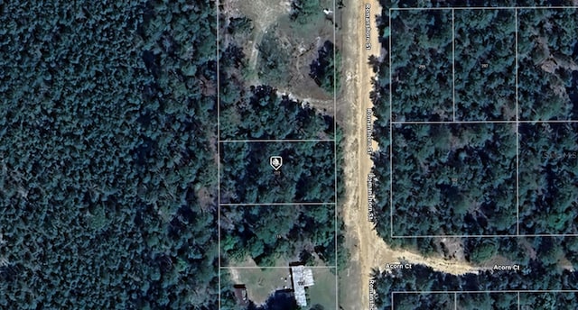 117 Romanshorn St, Interlachen FL, 32148 land for sale