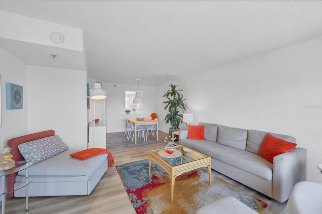 living room with wood finished floors