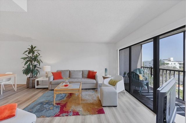 living room featuring a textured ceiling and wood finished floors