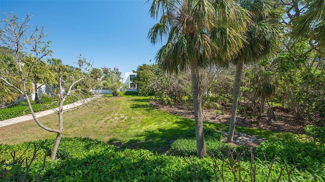 view of property's community with a yard