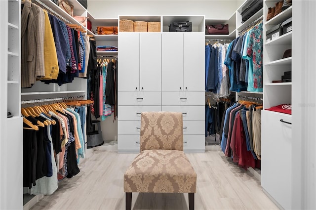 spacious closet with light wood-style floors