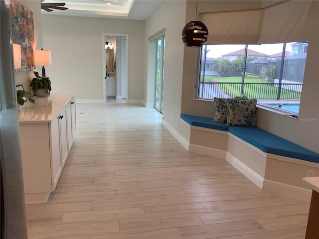 6208 Signature Pointe Ln, Bradenton, FL 34210 - hall featuring light wood-style floors, plenty of natural light, and baseboards