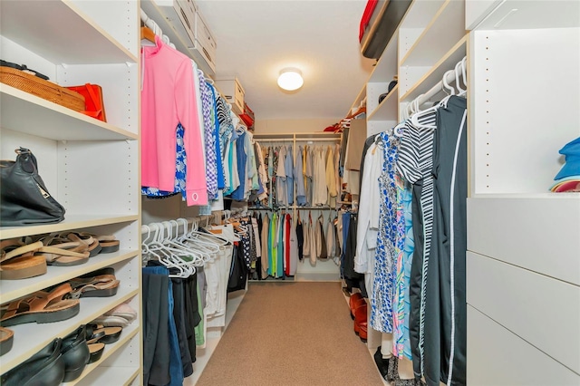 view of walk in closet