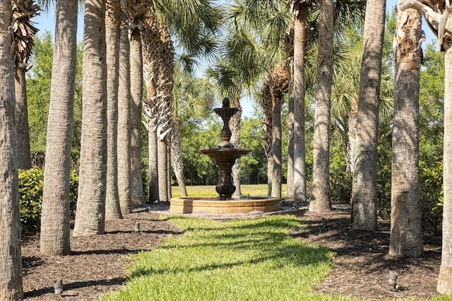 view of community featuring a lawn