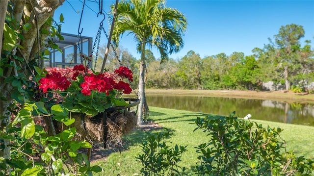 view of yard featuring a water view