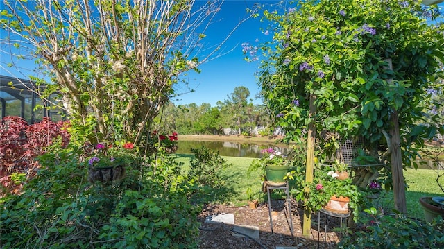 view of yard with a water view