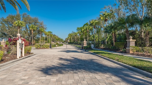 view of street with a gate, curbs, and a gated entry