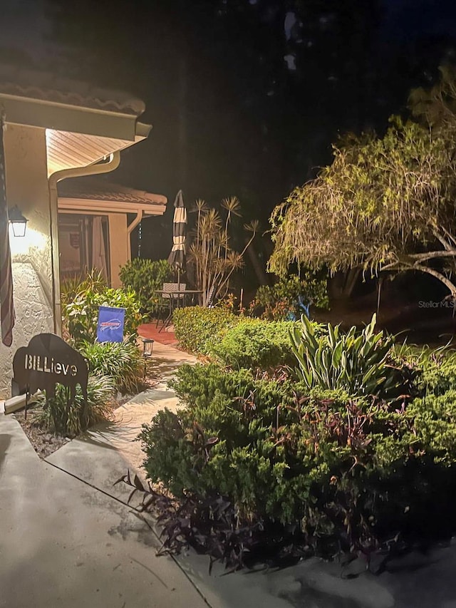 view of yard featuring a patio area