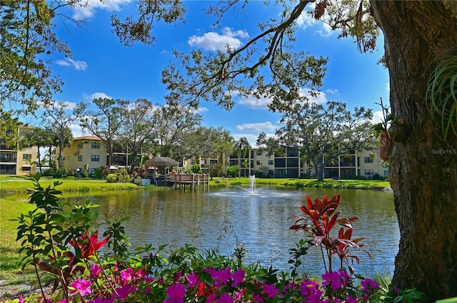 view of water feature