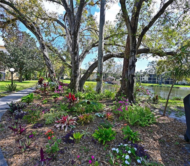 view of yard featuring a water view