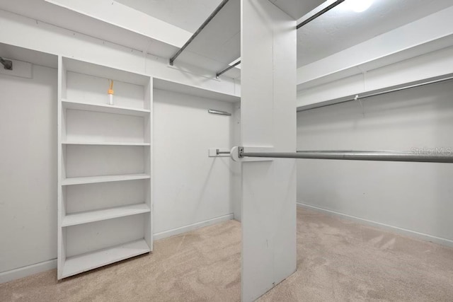 walk in closet featuring carpet flooring