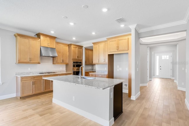 kitchen featuring under cabinet range hood, appliances with stainless steel finishes, light wood-type flooring, and ornamental molding