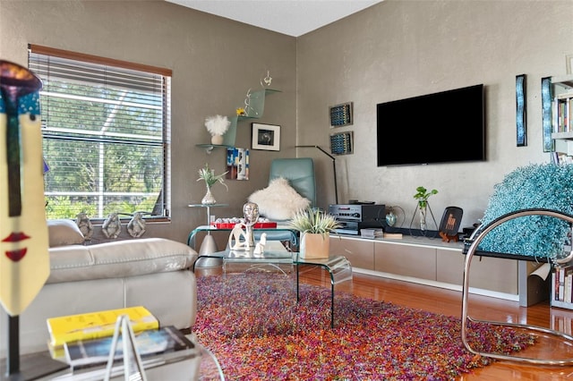 living room featuring wood finished floors