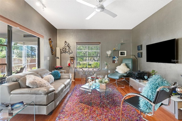 living room with a healthy amount of sunlight, wood finished floors, and a ceiling fan