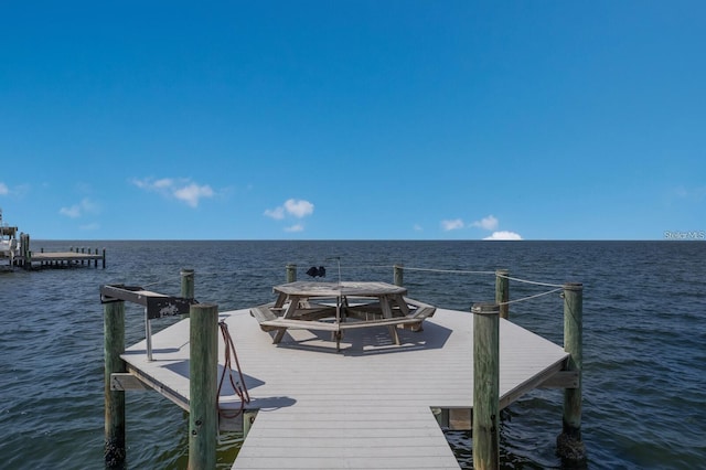 dock area with a water view