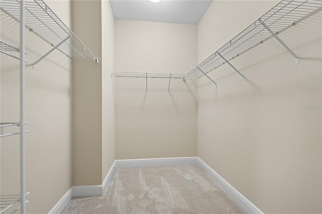 spacious closet with carpet floors