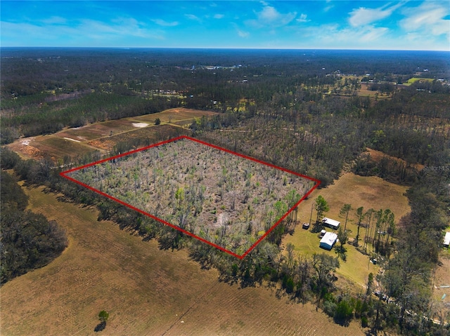 4236 Wash Davis Rd, Perry FL, 32347 land for sale