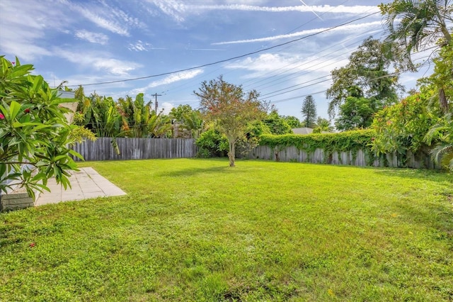 view of yard with a patio and a fenced backyard