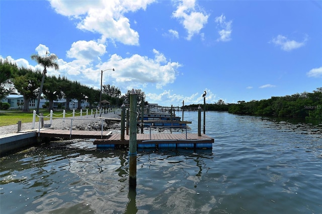 dock area with a water view