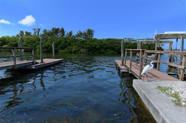 view of dock featuring a water view