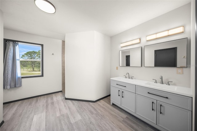 bathroom with a sink, baseboards, wood finished floors, and double vanity