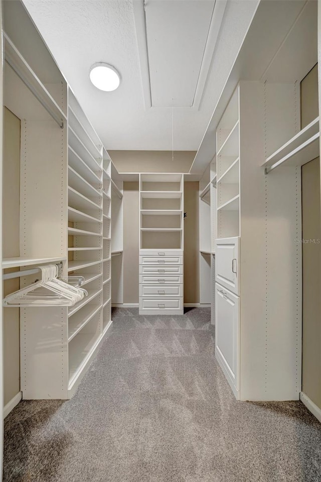 spacious closet featuring carpet flooring and attic access