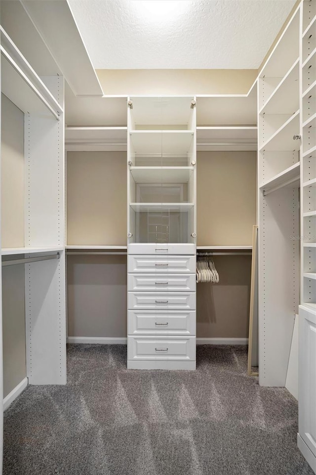 spacious closet with carpet flooring