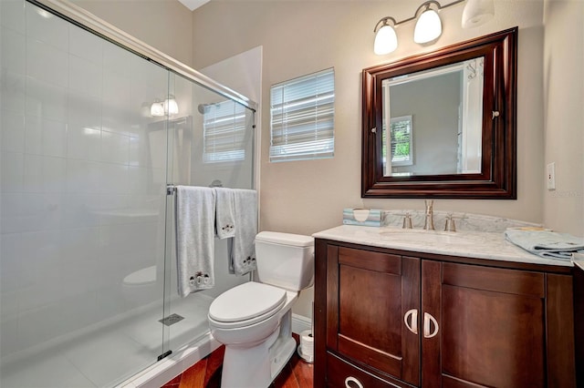 bathroom with toilet, vanity, and a shower stall