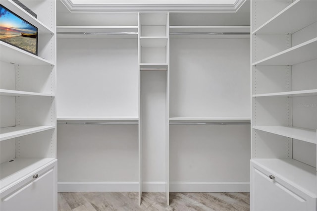 spacious closet featuring light wood finished floors