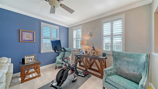 exercise area featuring ceiling fan, baseboards, ornamental molding, carpet flooring, and a textured ceiling