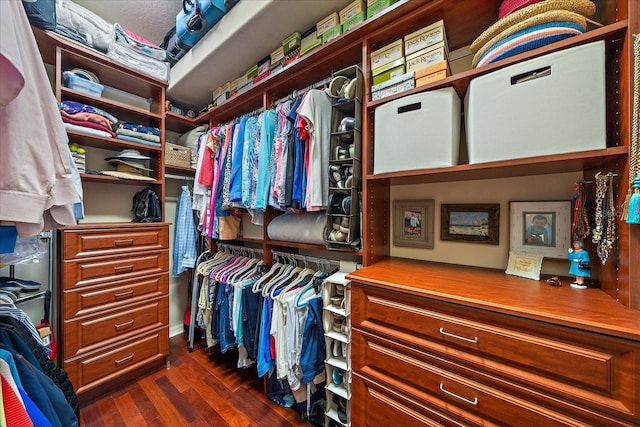 spacious closet with dark wood-type flooring