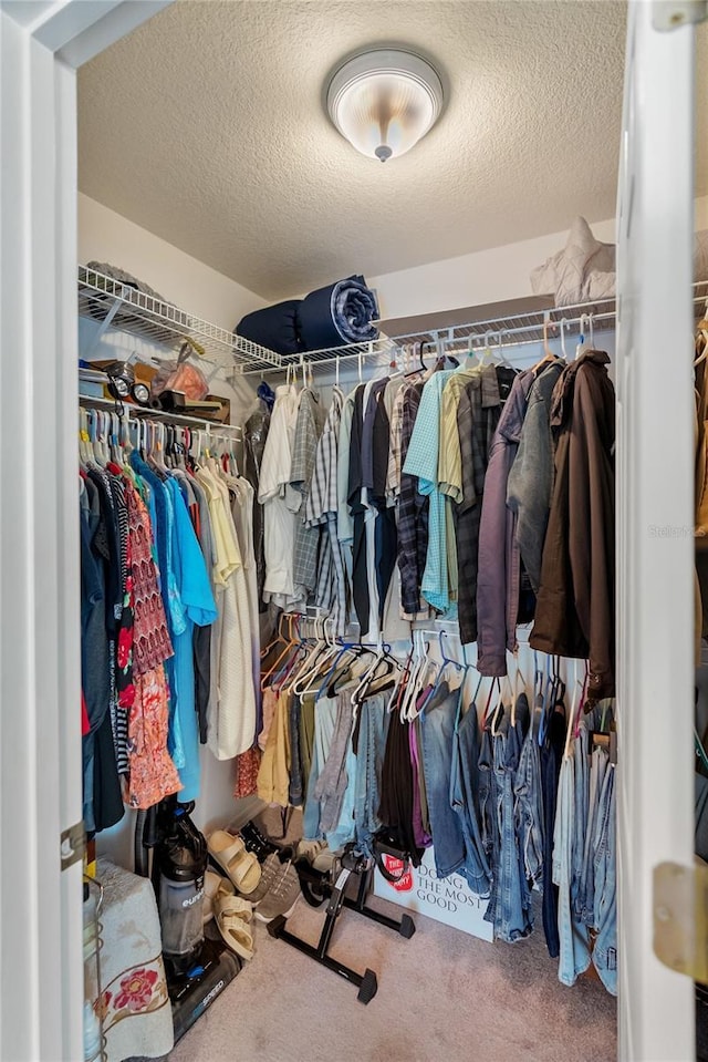 walk in closet with carpet floors