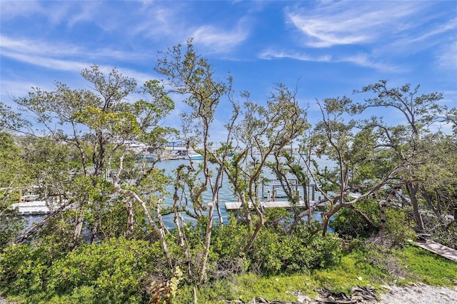 exterior space featuring a water view