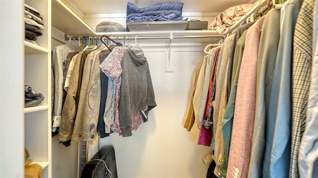 view of spacious closet