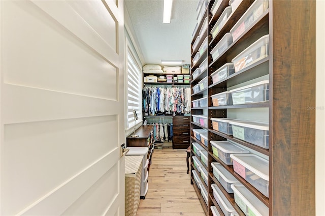 516 Kumquat Dr, Anna Maria, FL 34216 - walk in closet with light wood-style floors