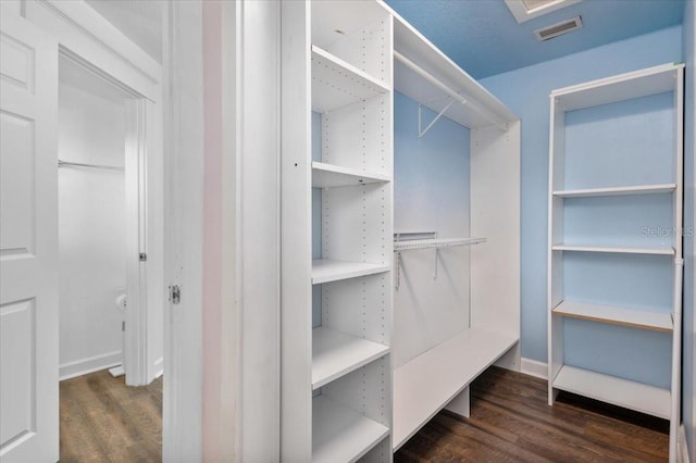 walk in closet with visible vents and wood finished floors