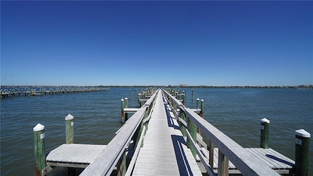 dock area with a water view