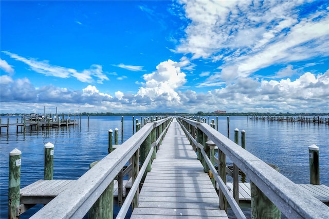 dock area featuring a water view