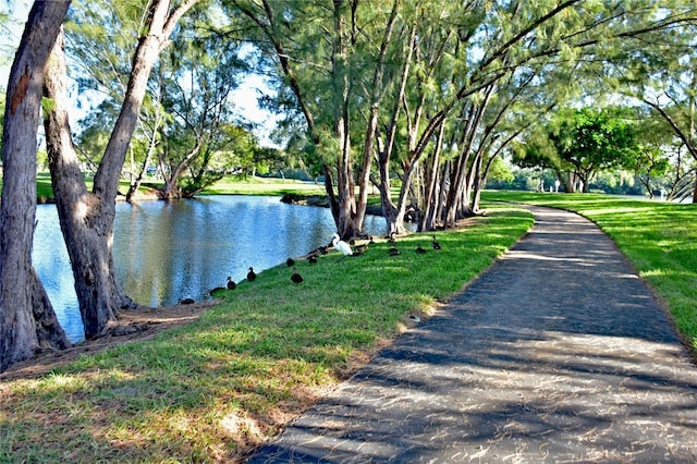 view of water feature