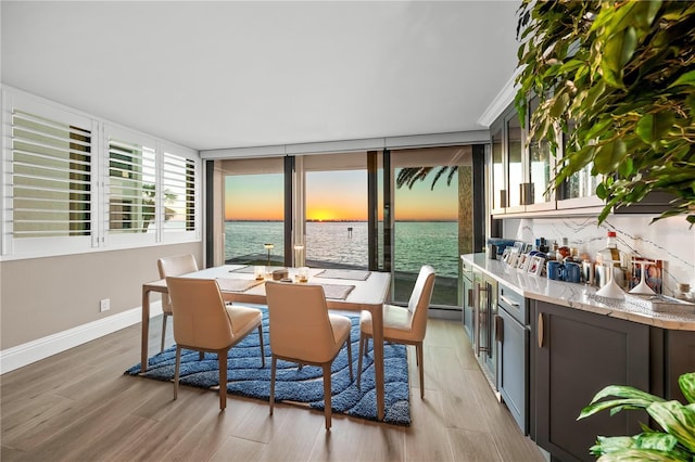 interior space featuring light wood-style flooring, baseboards, and a water view