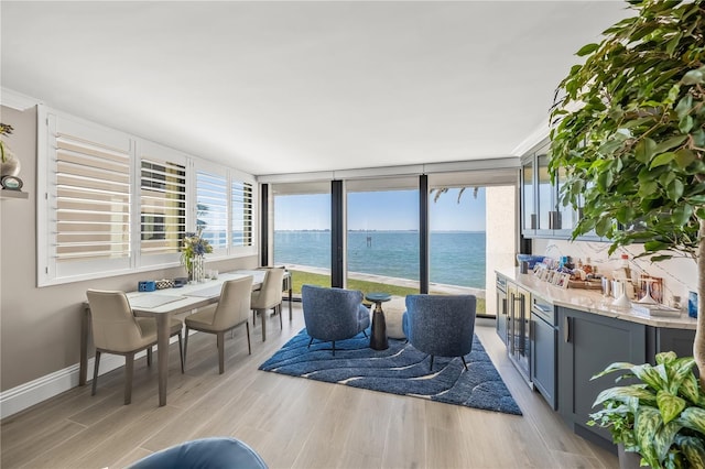 dining room featuring light wood-type flooring, baseboards, a healthy amount of sunlight, and a water view